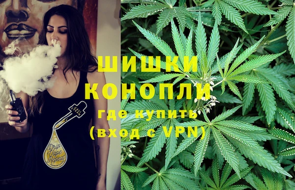 трава Богданович